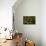Leisure Hours-John Everett Millais-Premium Giclee Print displayed on a wall