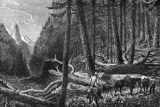 Riding Through the Forest, British Columbia, Canada, 19th Century-Leitch-Giclee Print