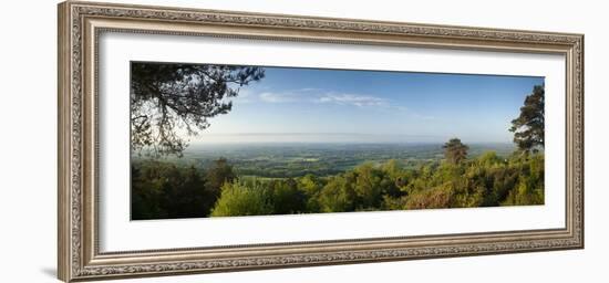 Leith Hill, Highest Point in SE England, View South Towards the South Down on a Summer Morning, Sur-John Miller-Framed Photographic Print