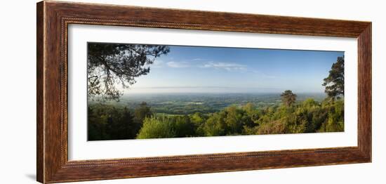 Leith Hill, Highest Point in SE England, View South Towards the South Down on a Summer Morning, Sur-John Miller-Framed Photographic Print