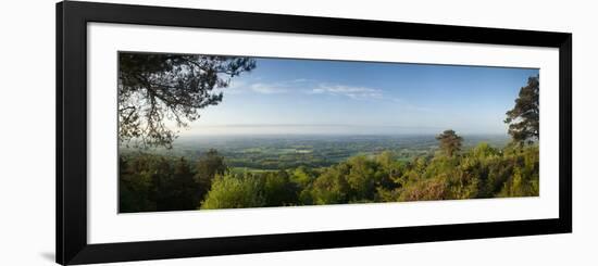 Leith Hill, Highest Point in SE England, View South Towards the South Down on a Summer Morning, Sur-John Miller-Framed Photographic Print