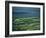 Leitrim, Daura, Shannon River, County Leitrim, Connacht, Republic of Ireland, Europe-Woolfitt Adam-Framed Photographic Print