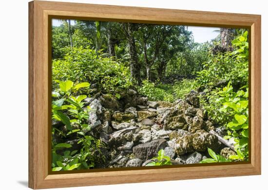 Lelu (Leluh) archaeological site, Kosrae, Federated States of Micronesia, South Pacific-Michael Runkel-Framed Premier Image Canvas