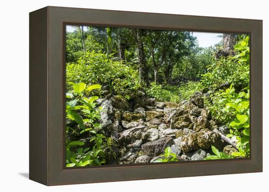 Lelu (Leluh) archaeological site, Kosrae, Federated States of Micronesia, South Pacific-Michael Runkel-Framed Premier Image Canvas