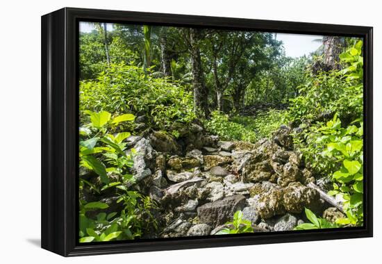 Lelu (Leluh) archaeological site, Kosrae, Federated States of Micronesia, South Pacific-Michael Runkel-Framed Premier Image Canvas