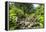 Lelu (Leluh) archaeological site, Kosrae, Federated States of Micronesia, South Pacific-Michael Runkel-Framed Premier Image Canvas