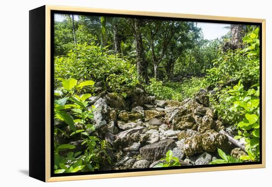 Lelu (Leluh) archaeological site, Kosrae, Federated States of Micronesia, South Pacific-Michael Runkel-Framed Premier Image Canvas