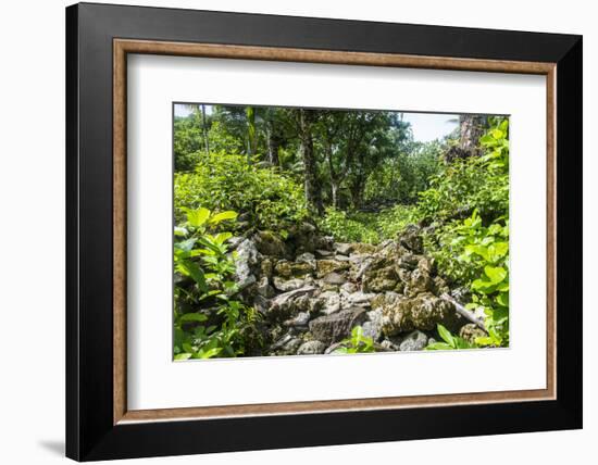 Lelu (Leluh) archaeological site, Kosrae, Federated States of Micronesia, South Pacific-Michael Runkel-Framed Photographic Print