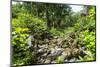 Lelu (Leluh) archaeological site, Kosrae, Federated States of Micronesia, South Pacific-Michael Runkel-Mounted Photographic Print