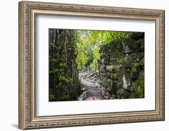 Lelu (Leluh) archaeological site, Kosrae, Federated States of Micronesia, South Pacific-Michael Runkel-Framed Photographic Print