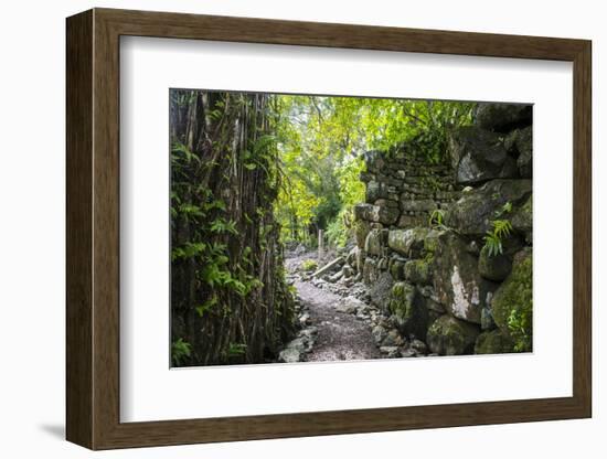 Lelu (Leluh) archaeological site, Kosrae, Federated States of Micronesia, South Pacific-Michael Runkel-Framed Photographic Print