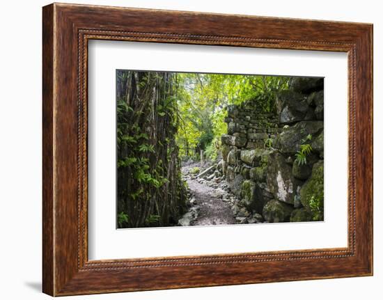 Lelu (Leluh) archaeological site, Kosrae, Federated States of Micronesia, South Pacific-Michael Runkel-Framed Photographic Print