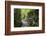 Lelu (Leluh) archaeological site, Kosrae, Federated States of Micronesia, South Pacific-Michael Runkel-Framed Photographic Print