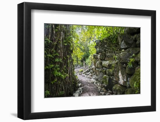 Lelu (Leluh) archaeological site, Kosrae, Federated States of Micronesia, South Pacific-Michael Runkel-Framed Photographic Print