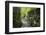 Lelu (Leluh) archaeological site, Kosrae, Federated States of Micronesia, South Pacific-Michael Runkel-Framed Photographic Print