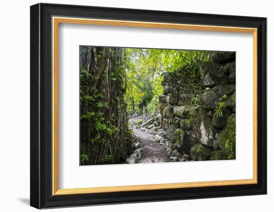 Lelu (Leluh) archaeological site, Kosrae, Federated States of Micronesia, South Pacific-Michael Runkel-Framed Photographic Print