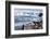 Lemaire Channel, Antarctica. Gentoo Penguin Colony-Janet Muir-Framed Photographic Print