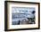 Lemaire Channel, Antarctica. Gentoo Penguin Colony-Janet Muir-Framed Photographic Print