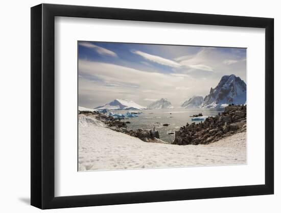 Lemaire Channel, Antarctica. Kayaking, Penguins, and Blue-Eyed Shags-Janet Muir-Framed Photographic Print