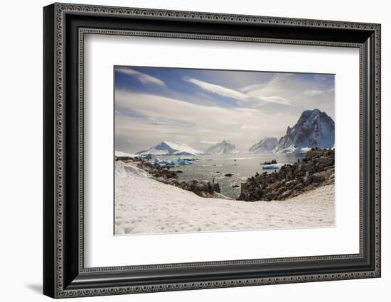 Lemaire Channel, Antarctica. Kayaking, Penguins, and Blue-Eyed Shags-Janet Muir-Framed Photographic Print
