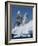 Lemaire Channel, Weddell Sea, Antarctic Peninsula, Antarctica, Polar Regions-Thorsten Milse-Framed Photographic Print