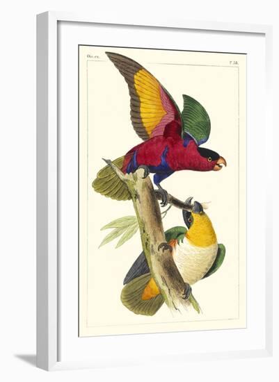 Lemaire Parrots I-C.L. Lemaire-Framed Art Print