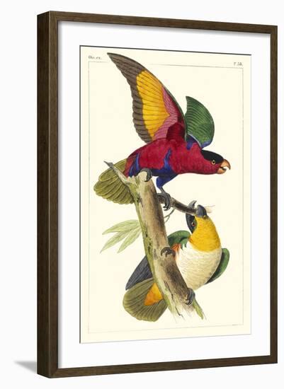 Lemaire Parrots I-C.L. Lemaire-Framed Art Print