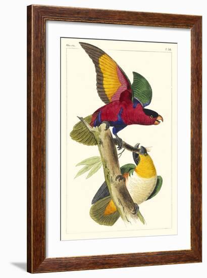 Lemaire Parrots I-C.L. Lemaire-Framed Art Print