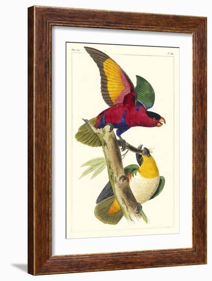 Lemaire Parrots I-C.L. Lemaire-Framed Art Print