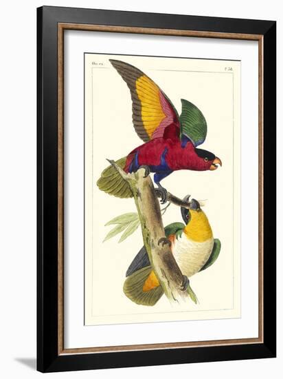 Lemaire Parrots I-C.L. Lemaire-Framed Art Print