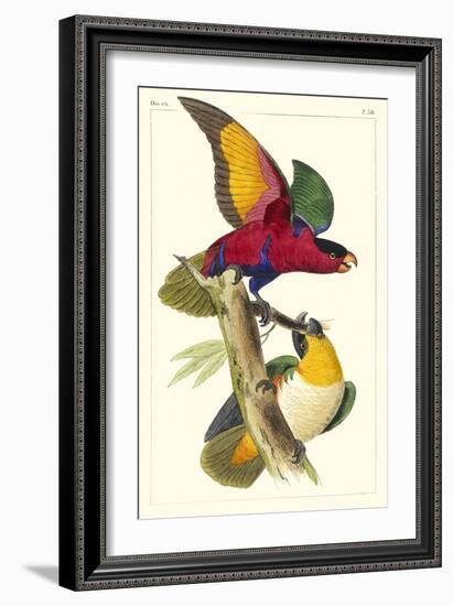 Lemaire Parrots I-C.L. Lemaire-Framed Art Print