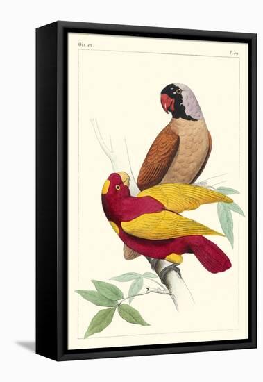 Lemaire Parrots II-C.L. Lemaire-Framed Stretched Canvas