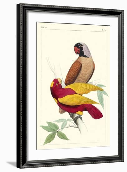 Lemaire Parrots II-C.L. Lemaire-Framed Art Print