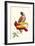 Lemaire Parrots II-C.L. Lemaire-Framed Art Print