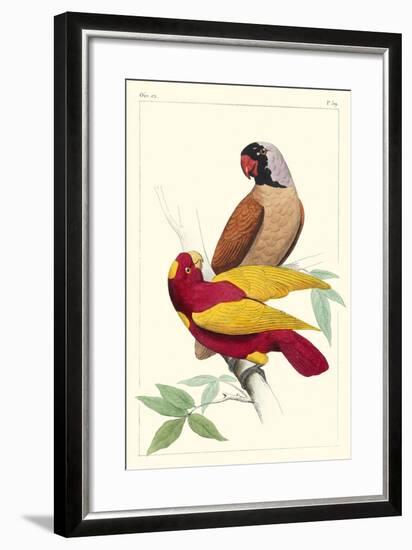 Lemaire Parrots II-C.L. Lemaire-Framed Art Print