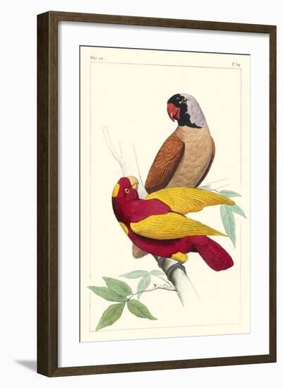 Lemaire Parrots II-C.L. Lemaire-Framed Art Print