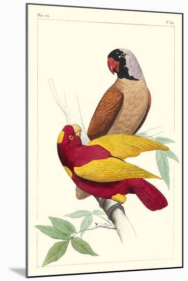 Lemaire Parrots II-C.L. Lemaire-Mounted Art Print