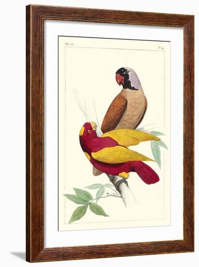 Lemaire Parrots II-C.L. Lemaire-Framed Art Print