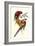 Lemaire Parrots III-C.L. Lemaire-Framed Art Print