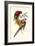 Lemaire Parrots III-C.L. Lemaire-Framed Art Print