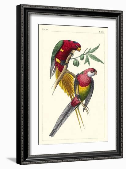 Lemaire Parrots III-C.L. Lemaire-Framed Art Print