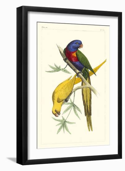 Lemaire Parrots IV-C.L. Lemaire-Framed Premium Giclee Print