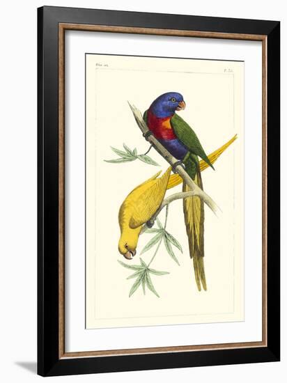 Lemaire Parrots IV-C.L. Lemaire-Framed Art Print