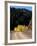 Lemhi Pass, Continental Divide, Lewis and Clark Trail, Idaho, USA-Connie Ricca-Framed Photographic Print