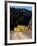 Lemhi Pass, Continental Divide, Lewis and Clark Trail, Idaho, USA-Connie Ricca-Framed Photographic Print