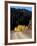 Lemhi Pass, Continental Divide, Lewis and Clark Trail, Idaho, USA-Connie Ricca-Framed Photographic Print
