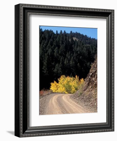 Lemhi Pass, Continental Divide, Lewis and Clark Trail, Idaho, USA-Connie Ricca-Framed Photographic Print