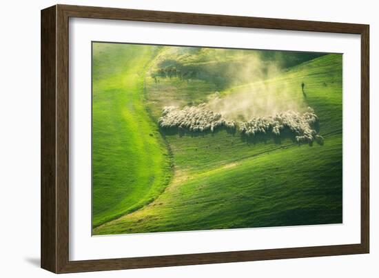 Lemming Like Rush-Marcin Sobas-Framed Photographic Print