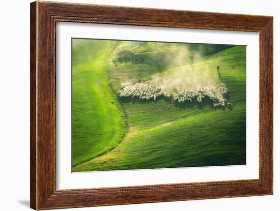 Lemming Like Rush-Marcin Sobas-Framed Photographic Print