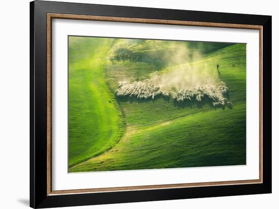 Lemming Like Rush-Marcin Sobas-Framed Photographic Print